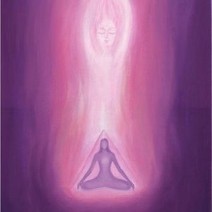 Meet your Posher, Elise